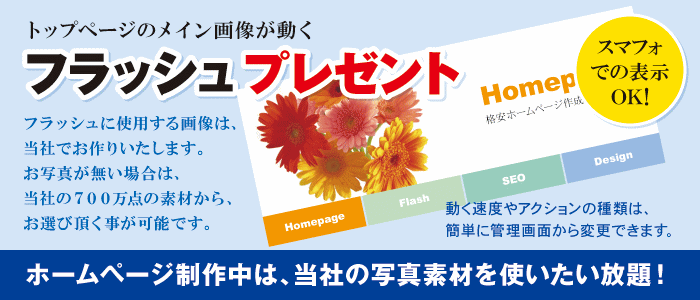 フラッシュ フラッシュ