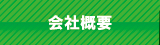ЊTv